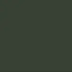 Forrest Green 4374